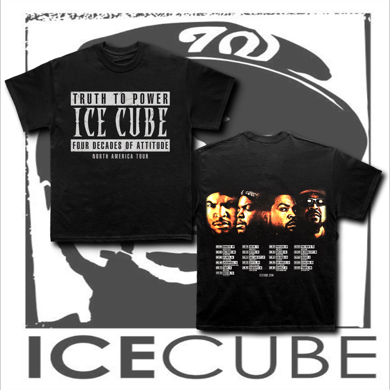 Goalzenith Ice Cube Personalized T-shirt Gift For Fan